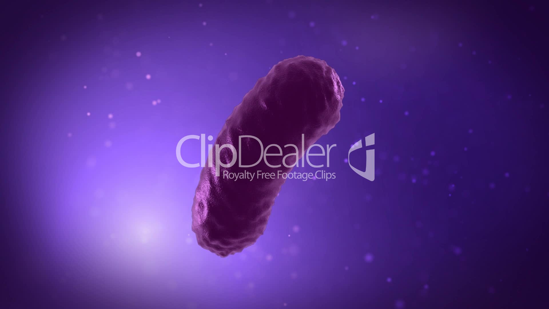 Bacteria Multiplication process: Royalty-free video and stock footage